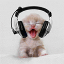 RWR-DJ